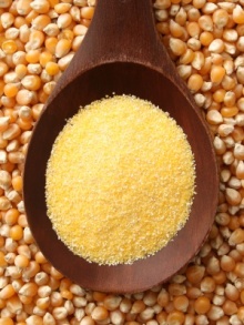 Yellow corn for the manufacture of crushed crisps and snacks