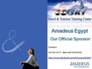 AMADEUS Airline Reservation & Ticketing (Official Course)