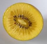 يوجد لدينا كيوى ايطالى Gold kiwi