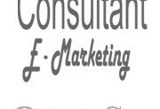E Marketing Consultant